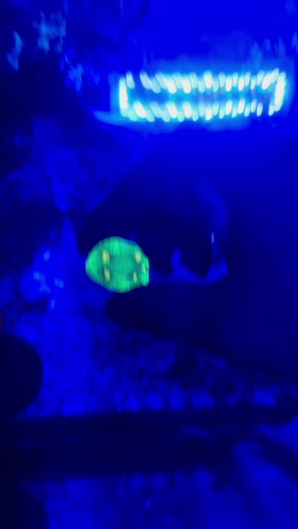 H2 WYSIWYG Space Invader Chalice